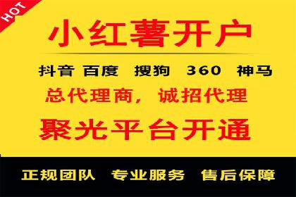 专业sem托管服务案例，揭秘广告投放优化策略